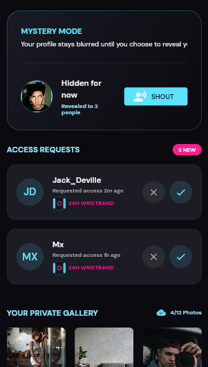 A glimpse of Shoutr: mystery mode, access requests and a private gallery